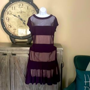 Cute R&M Richards Sheer Eggplant Color Dress